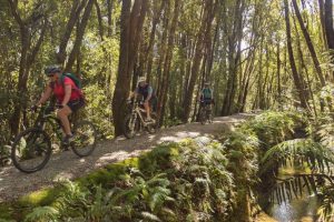 Three Great Rides share $1.2m from NZ Cycle Trail Fund for upgrades